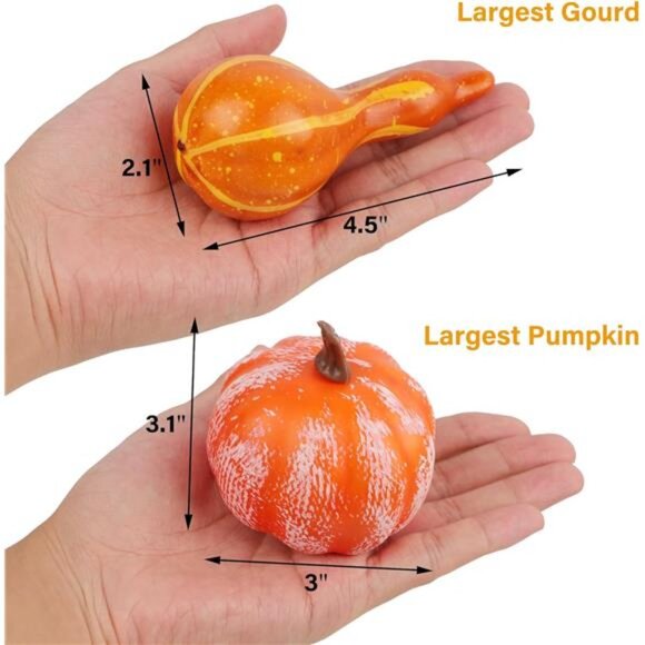 Fall Decorations Mini Pumpkins Gourds Leaves Acorns Pinecones Thanksgiving Decor - Picture 4 of 7